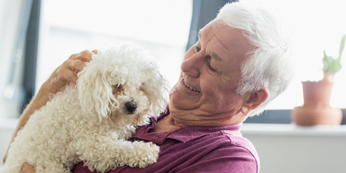 Seniors and Dogs: Whether? — and Which?